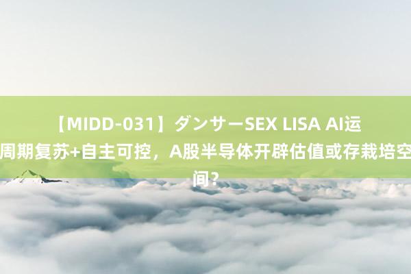 【MIDD-031】ダンサーSEX LISA AI运行+周期复苏+自主可控，A股半导体开辟估值或存栽培空间？