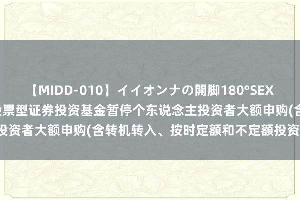 【MIDD-010】イイオンナの開脚180°SEX LISA 对于广发巨匠精选股票型证券投资基金暂停个东说念主投资者大额申购(含转机转入、按时定额和不定额投资)业务的公告