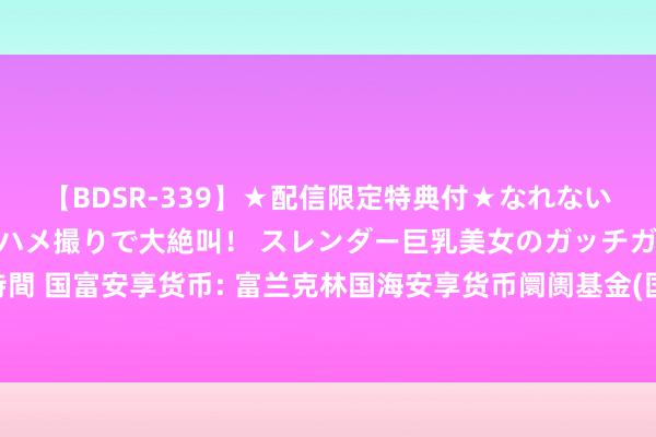 【BDSR-339】★配信限定特典付★なれない感じの新人ちゃんが初ハメ撮りで大絶叫！ スレンダー巨乳美女のガッチガチ生本番。12人4時間 国富安享货币: 富兰克林国海安享货币阛阓基金(国富安享货币B类份额)基金居品尊府摘抄更新