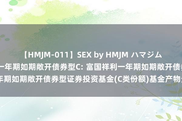 【HMJM-011】SEX by HMJM ハマジムベスト09 6時間 富国祥利一年期如期敞开债券型C: 富国祥利一年期如期敞开债券型证券投资基金(C类份额)基金产物贵府纲领更新