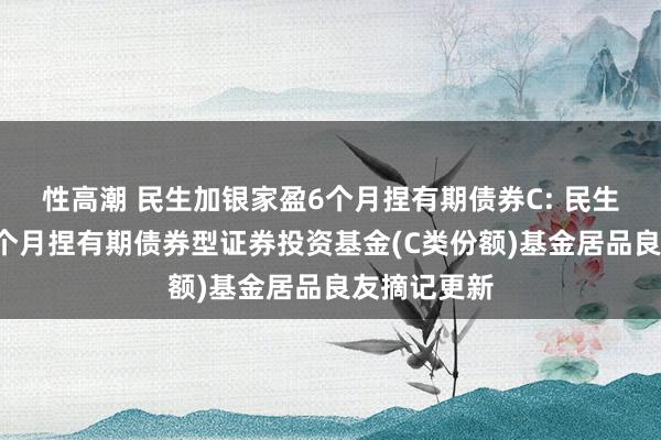 性高潮 民生加银家盈6个月捏有期债券C: 民生加银家盈6个月捏有期债券型证券投资基金(C类份额)基金居品良友摘记更新