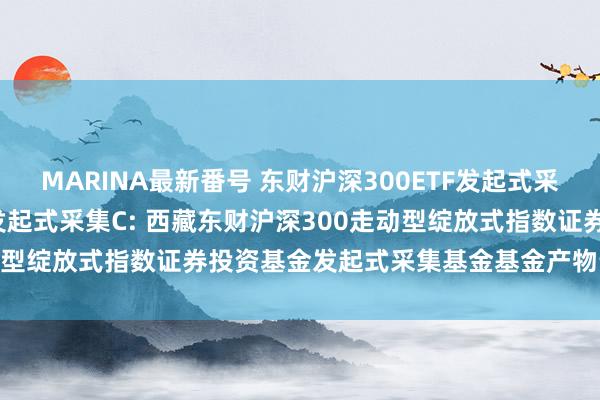 MARINA最新番号 东财沪深300ETF发起式采集A，东财沪深300ETF发起式采集C: 西藏东财沪深300走动型绽放式指数证券投资基金发起式采集基金基金产物贵寓摘抄更新