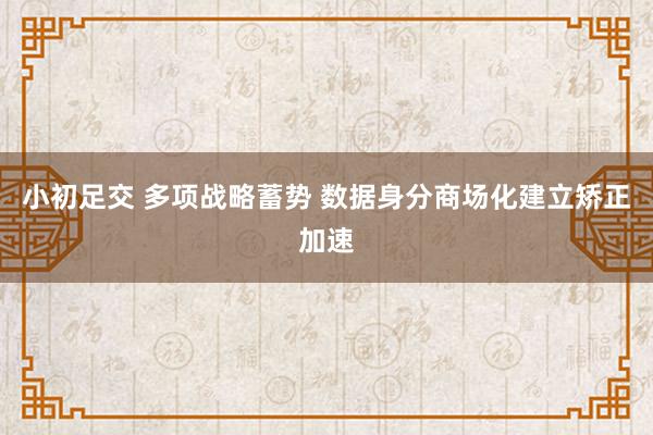 小初足交 多项战略蓄势 数据身分商场化建立矫正加速