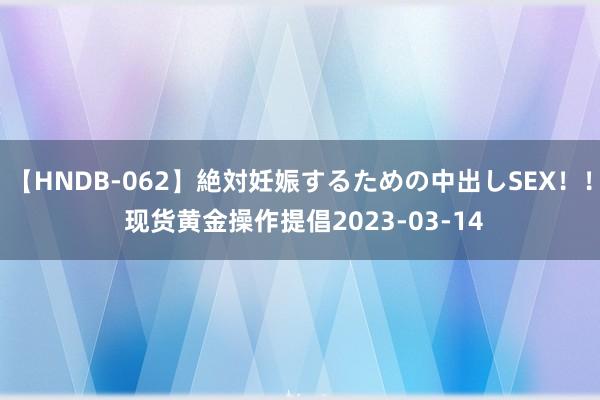 【HNDB-062】絶対妊娠するための中出しSEX！！ 现货黄金操作提倡2023-03-14