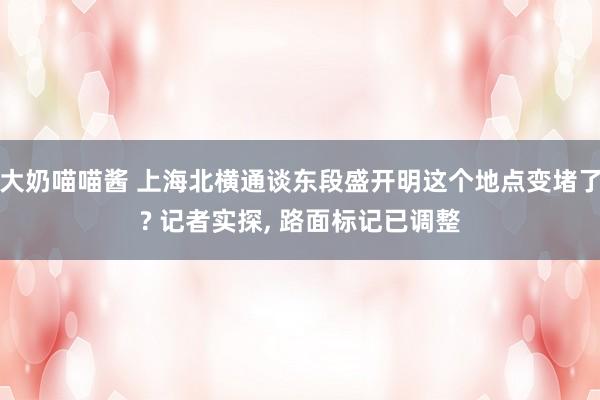 大奶喵喵酱 上海北横通谈东段盛开明这个地点变堵了? 记者实探， 路面标记已调整