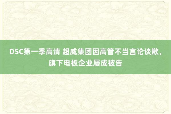 DSC第一季高清 超威集团因高管不当言论谈歉，旗下电板企业屡成被告