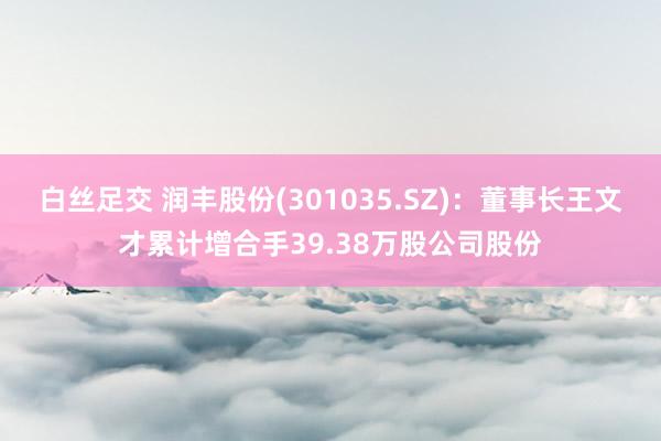 白丝足交 润丰股份(301035.SZ)：董事长王文才累计增合手39.38万股公司股份