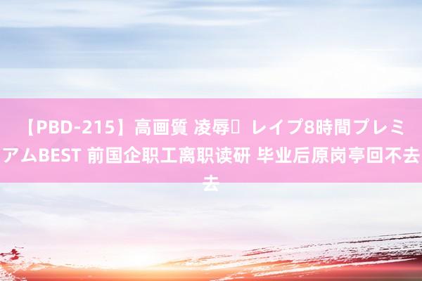 【PBD-215】高画質 凌辱・レイプ8時間プレミアムBEST 前国企职工离职读研 毕业后原岗亭回不去