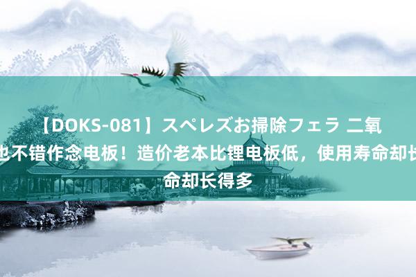 【DOKS-081】スペレズお掃除フェラ 二氧化碳也不错作念电板！造价老本比锂电板低，使用寿命却长得多