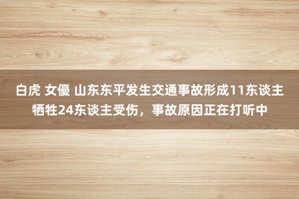 白虎 女優 山东东平发生交通事故形成11东谈主牺牲24东谈主受伤，事故原因正在打听中