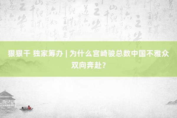 狠狠干 独家筹办 | 为什么宫崎骏总数中国不雅众双向奔赴？