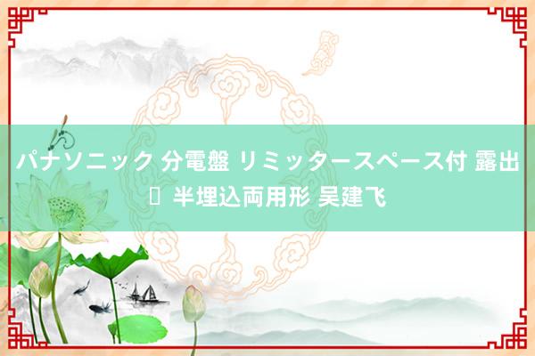 パナソニック 分電盤 リミッタースペース付 露出・半埋込両用形 吴建飞