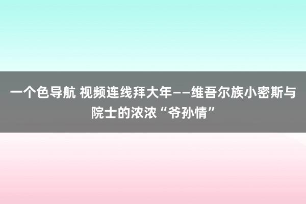 一个色导航 视频连线拜大年——维吾尔族小密斯与院士的浓浓“爷孙情”